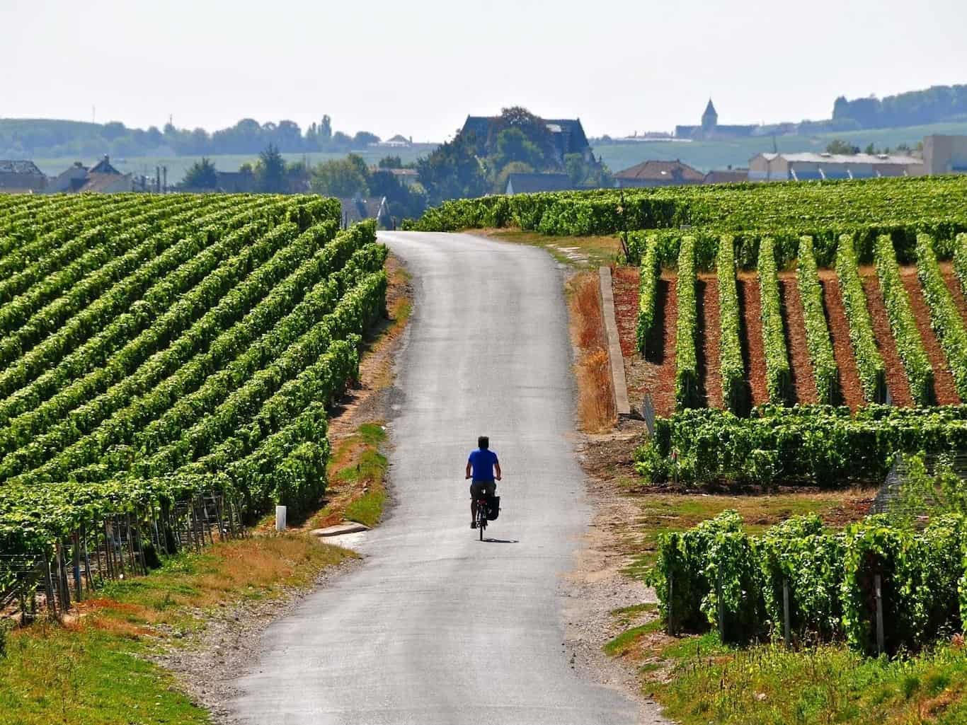 Certification HVE : notre engagement environnemental reconnu depuis 2 ans